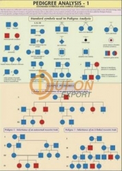 Genetics and Evolution Charts