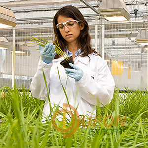 Agricultural Lab Machines