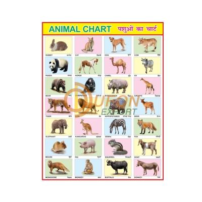 Animals Chart