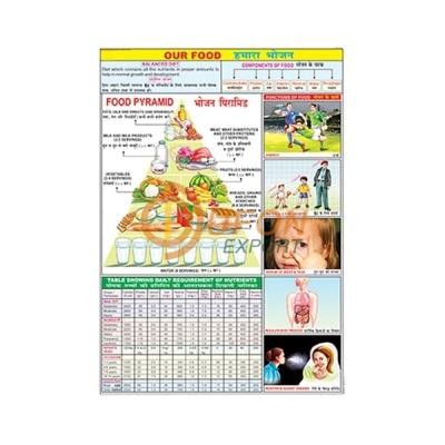 Our Food Chart