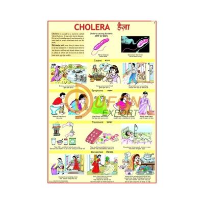 Cholera Chart