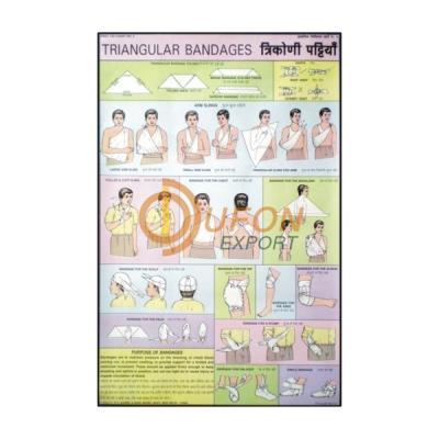 Triangular Bandages Chart