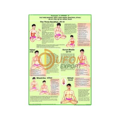 Bandhas and Pranayam Chart