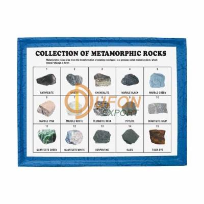 Collection of 15 Metamorphic Rocks