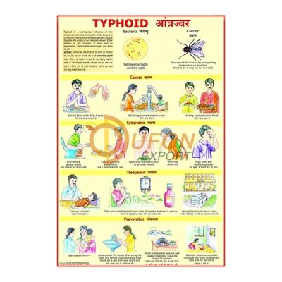Typhoid Chart