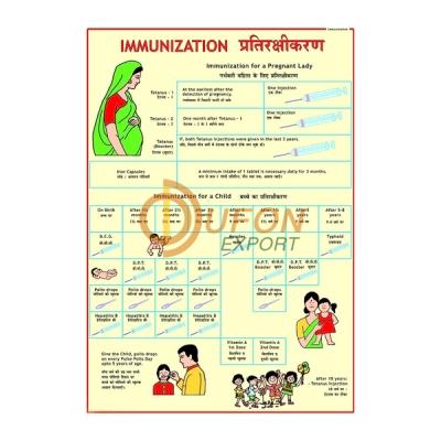 Immunization Chart