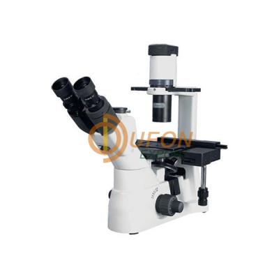 Tissue Culture Microscope