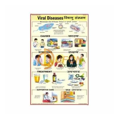 Viral Diseases Chart