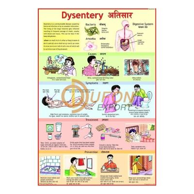 Dysentery Chart