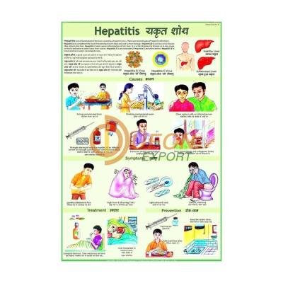 Hepatitis Chart