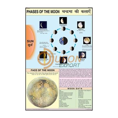 Phases of the Moon Chart