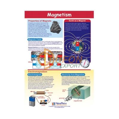 Investigating Magnetism Poster