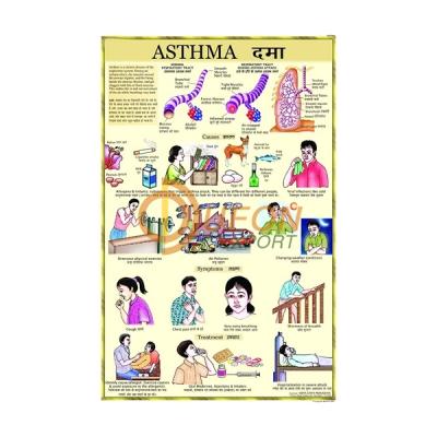 Asthma Chart