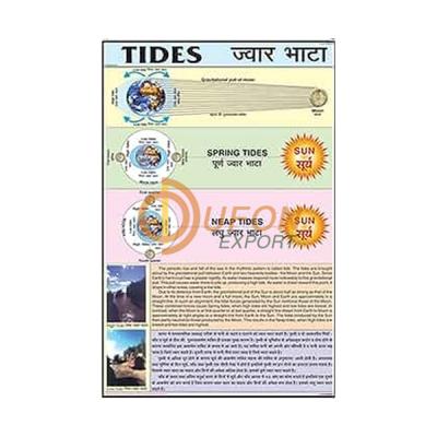 Tides Chart