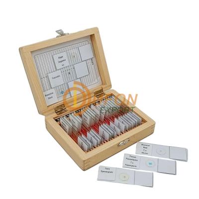 Microscope Prepared Slide Set, 25s