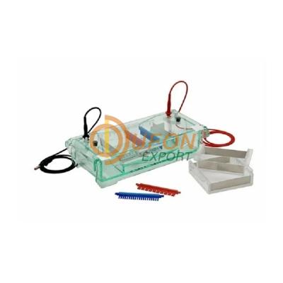 Electrophoresis Horizontal