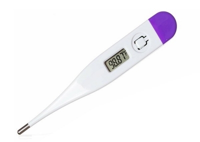 Dufon Digital Thermometer