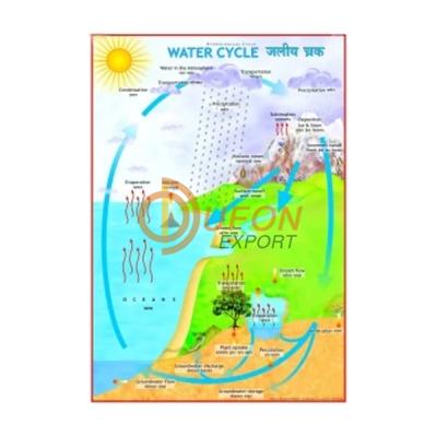 Water Cycle In Nature Chart