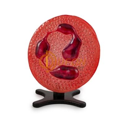 Blood Cell Model