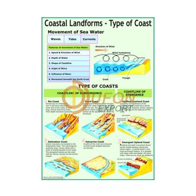 Coastal Landscape Chart