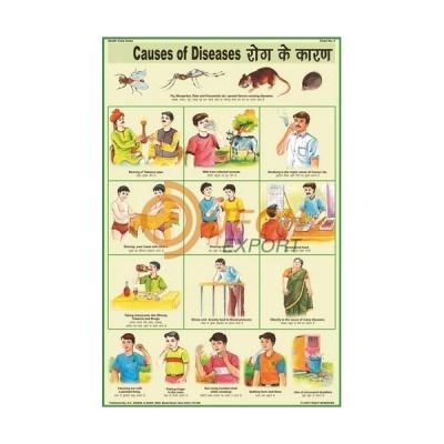 Causes of Diseases Chart