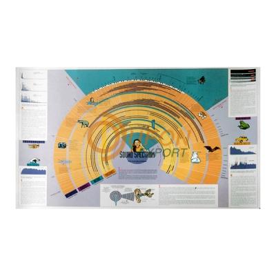 Sound Spectrum Chart