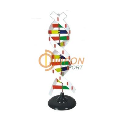 DNA Activity Model India