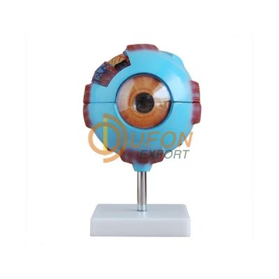 Giant  Eye Model