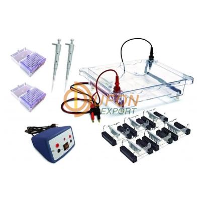 Electrophoresis Classroom Kit