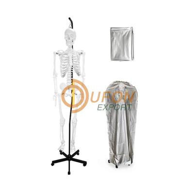 Human Skeleton Hanging Muscle and Thick Zip Dust Cover