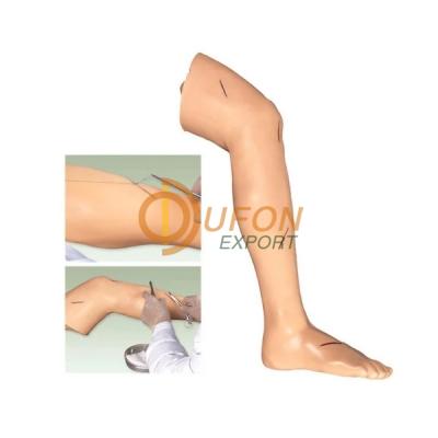 Surgical Suture Leg