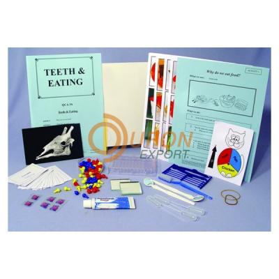 Teeth and Eating Science Kit