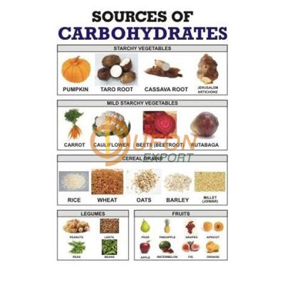 Carbohydrates Chart