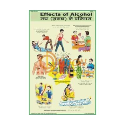 Effects of Alcohol Chart