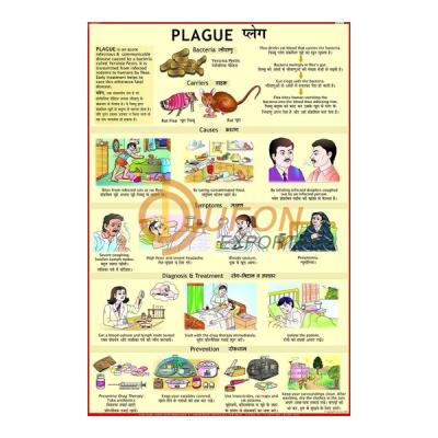 Plague Chart