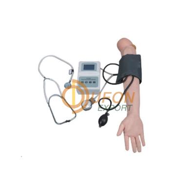 Advanced Blood Pressure Training Arm Model