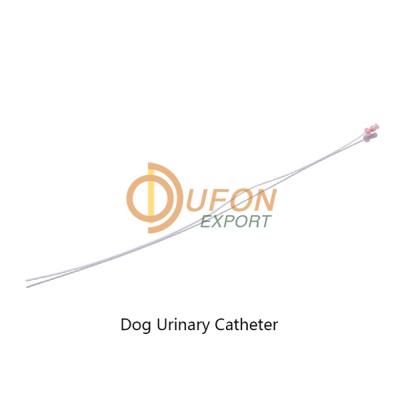 Dog Catheter