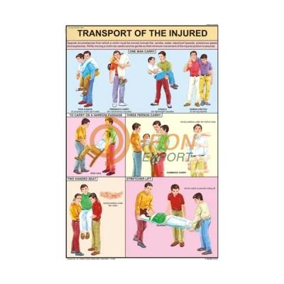 Transport of the Injured Chart