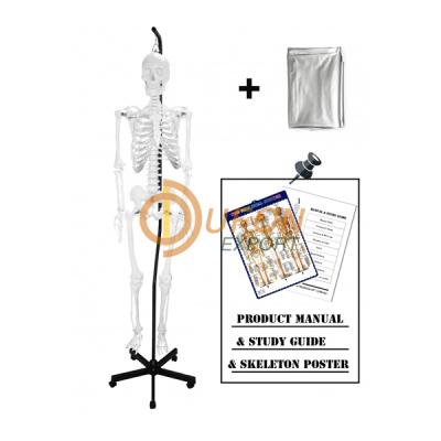 Human Skeleton 66 H Hanging Thick Zip Dust Cover