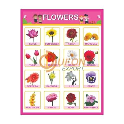 Flowers Chart