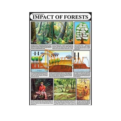 Impacts of Forests Chart