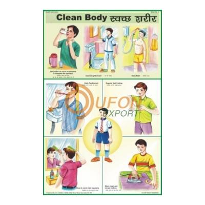 Clean Body Chart