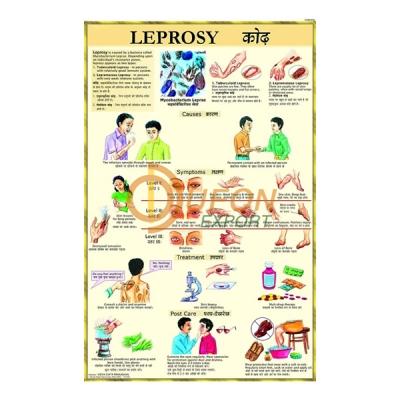 Leprosy Chart