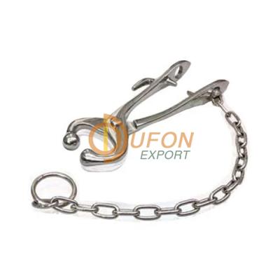 Bull Holder With Chain