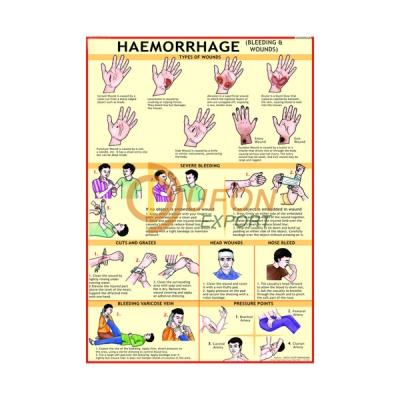 Hemorrhage Chart