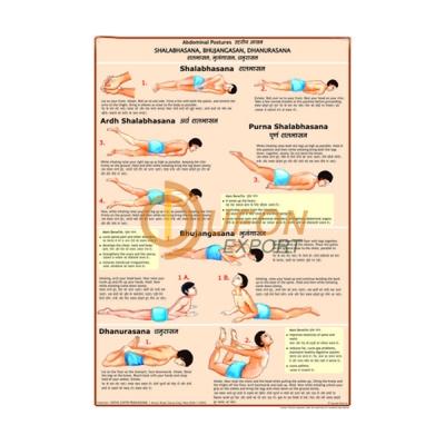 Bhujangasan, Shalbhasan, Dhanurasan and Mayurasan Chart
