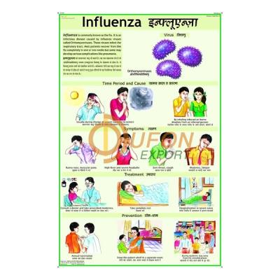 Influenza Chart