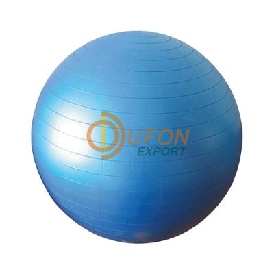 Exercise Physio Ball
