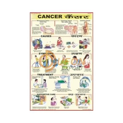 Cancer Chart