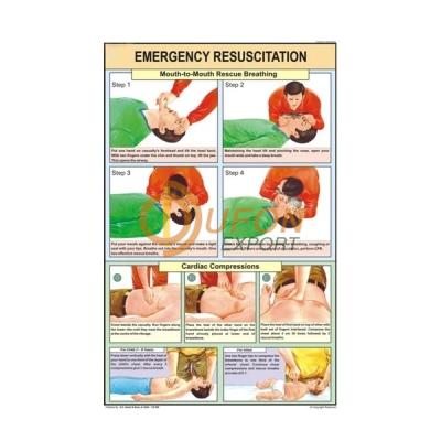 Emergency Resuscitation Chart